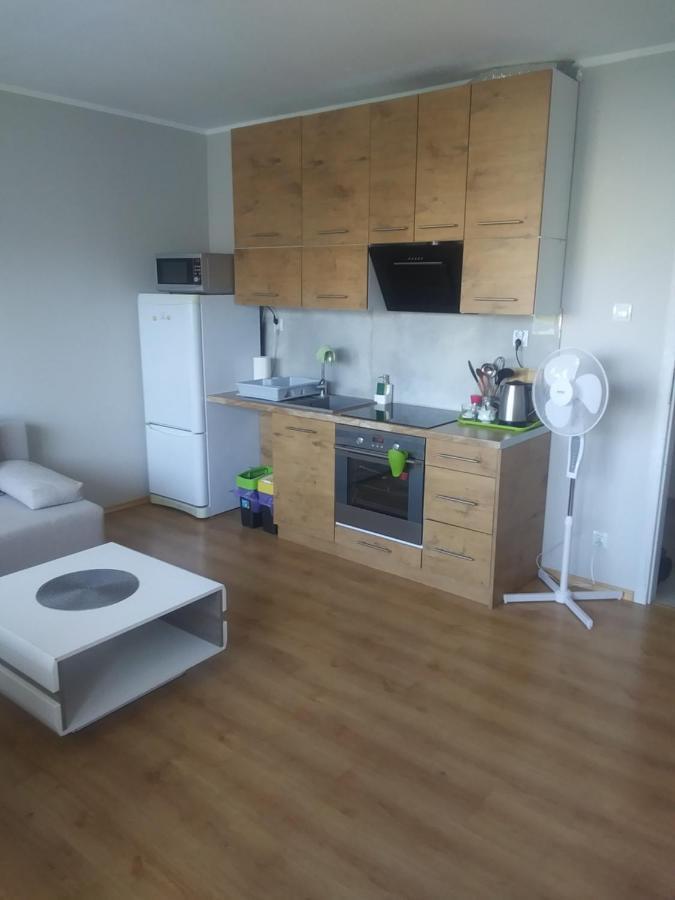Poziom 7 Apartment Elblag Luaran gambar